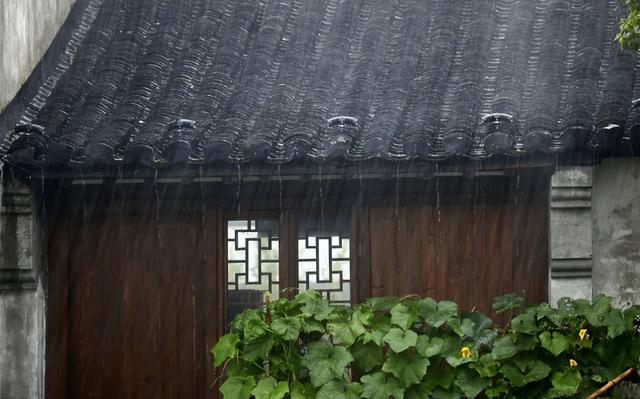 聲雨竹官方旗艦店天貓（聲雨竹官方旗艦店女裝）