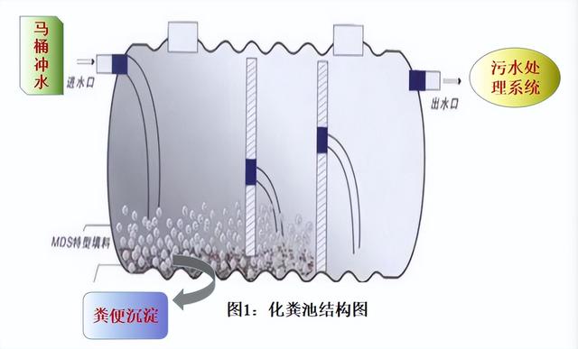 胰酪大豆胨怎么讀，胨怎么讀音？