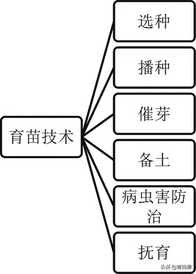 對硝基氯甲苯結構，對氯間硝基苯甲酸結構式？