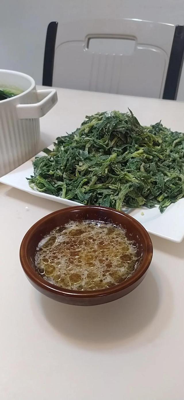 面條菜學(xué)名叫什么，面條菜的功效與作用及禁忌？