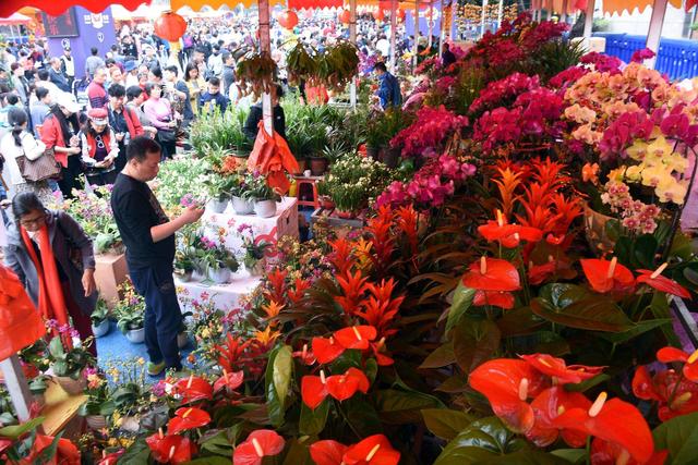 成都批發(fā)鮮花市場進貨渠道在哪里（成都批發(fā)鮮花去哪里進貨）