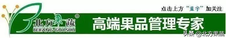 果樹苗批發(fā)基地三年苗各種苗大全價(jià)格，哪里有果樹苗批發(fā)基地？