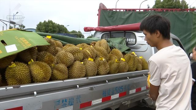 榴蓮批發(fā)市場(chǎng)進(jìn)貨渠道，泰國(guó)榴蓮批發(fā)市場(chǎng)進(jìn)貨渠道