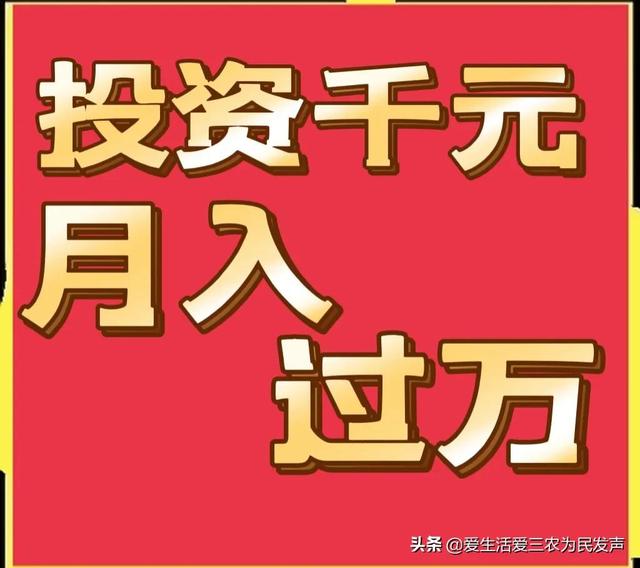 跑江湖地?cái)傂庐a(chǎn)品，跑江湖地?cái)傂庐a(chǎn)品怎么做