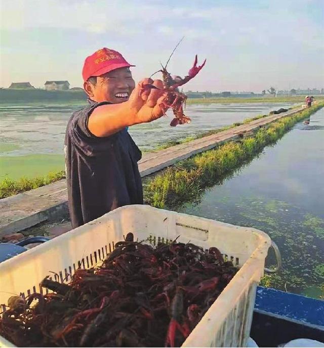 在家做手工貨源從哪找許昌有沒有，許昌手工活外發(fā)_廠家怎么找