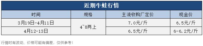 牛蛙價格現(xiàn)在多少錢一公斤，鮮活牛蛙批發(fā)價多少錢一斤？