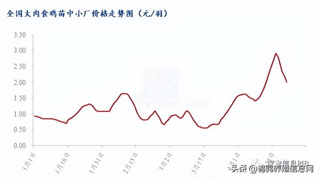 哪里有土雞苗批發(fā)，本地土雞苗批發(fā)市場？