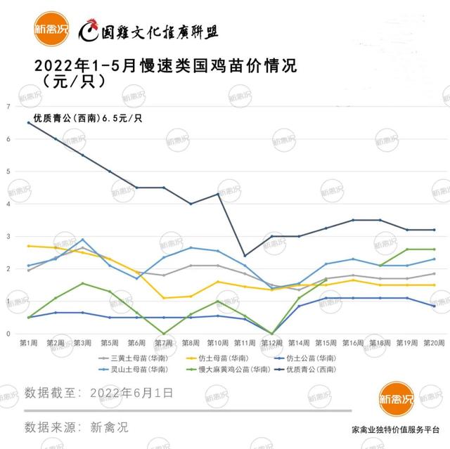 土雞苗批發(fā)市場在哪里，土雞苗批發(fā)市場在哪里的？