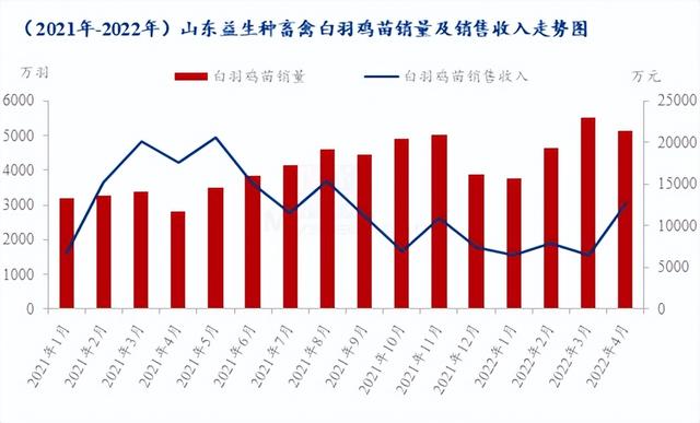 種禽龍頭4月銷售收入大幅上漲，白羽雞苗5月市場行情急轉(zhuǎn)直下