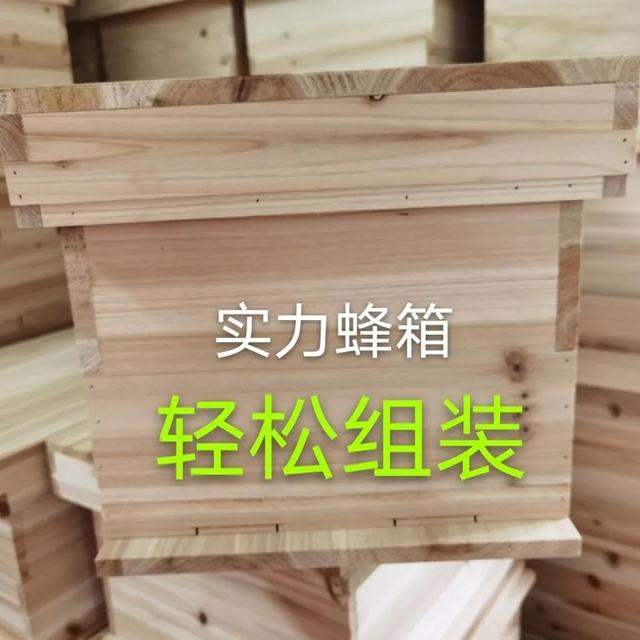 蜂箱怎么賣，哪里有蜂箱賣,多少錢一個(gè)？