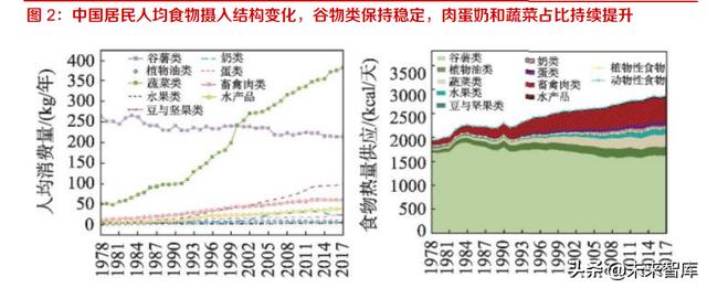 長(zhǎng)沙凍貨批發(fā)市場(chǎng)進(jìn)貨渠道，長(zhǎng)沙凍貨批發(fā)市場(chǎng)進(jìn)貨渠道有哪些？