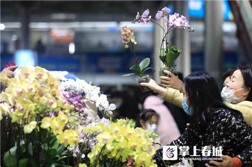 昆明鮮花批發(fā)市場地址個區(qū)，昆明鮮花批發(fā)市場地址在哪里怎么坐車去？