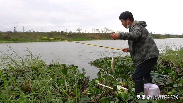 草花批發(fā)市場進貨渠道，北京批發(fā)水草市場？