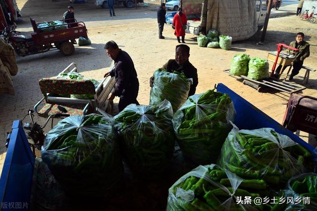 市場賣青菜一天賺多少錢合適，菜市場賣青菜一年能賺多少錢？