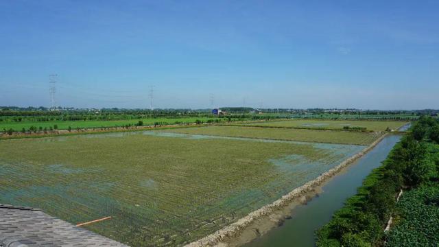 湖北潛江龍蝦批發(fā)市場電話，湖北潛江龍蝦批發(fā)市場電話號(hào)碼？