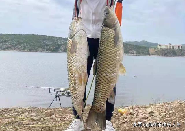 德州釣組釣法，德州釣組控餌手法？