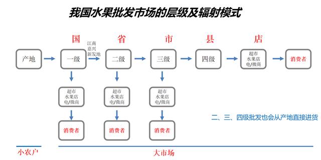 想批發(fā)水果怎么找貨源，水果進貨批發(fā)網(wǎng)站哪個好？