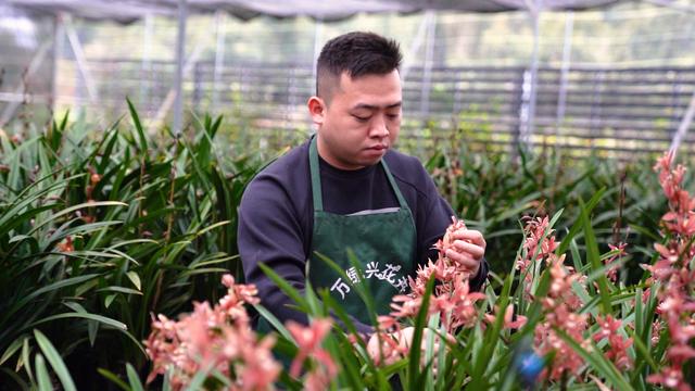 淘寶拼多多熱銷朝蘭貨源拿貨是真的嗎，淘寶拼多多熱銷朝蘭貨源拿貨是真的嗎安全嗎？