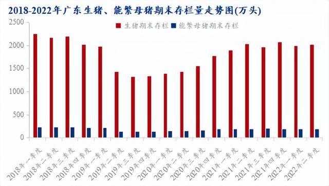 被玩壞的生豬行業(yè)_摸不透的廣東市場？